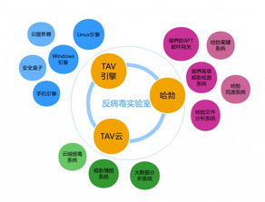 腾讯手机管家在AVC 2018年度安卓杀软检测中绽放光芒，检测率再创新的卓越