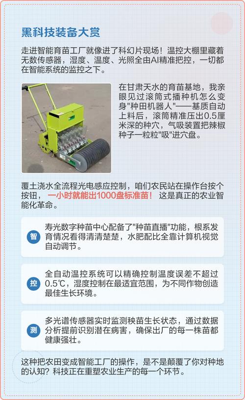 计算机软件开发 从代码到产品的系统性工程